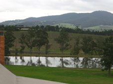 Yarra Valley winery