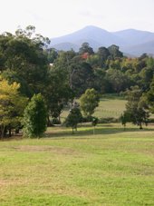 Yarra Valley wines